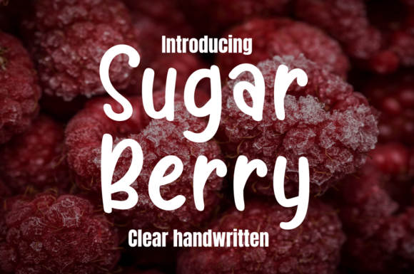 Campaign Design Review: Sugar Berry as a Friendly Display Font
