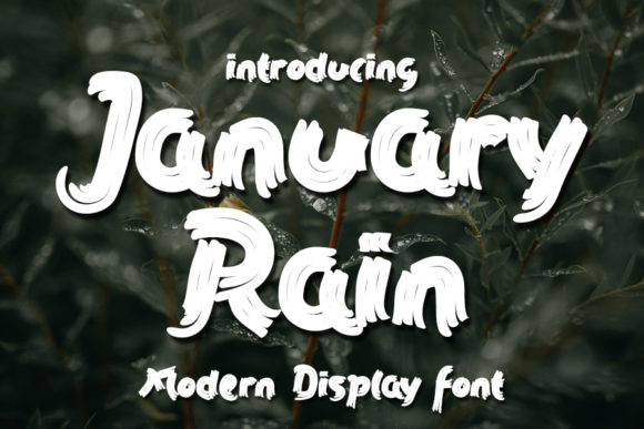 January Rain: A Bold Brushed Font for Editorial Design