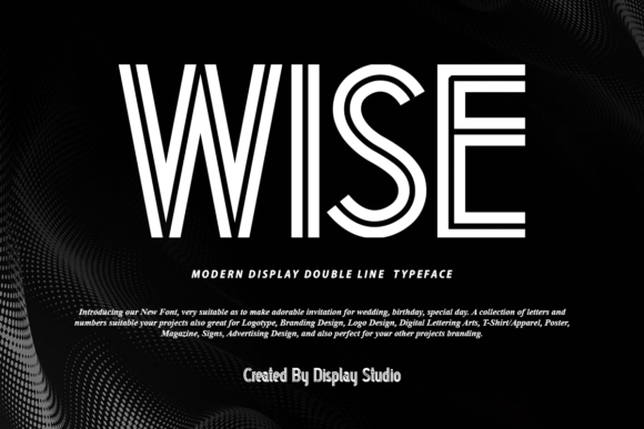 Wise: The Adaptable Display Font for Your Brand Story